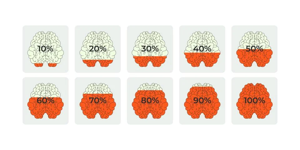 Brain progress increasing percentage flat UI data visualization element set Stockillustratie