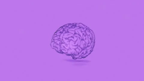 Brain purple Video stock 154474316