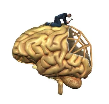Brain Reconstruction Stock Illustration