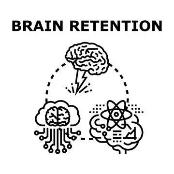 Brain retention concept visualizing memory, learning, and thought processes Stock Illustration