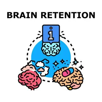 Brain retention memory improving learning process concept Stock Illustration