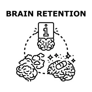Brain retention memory improving learning process concept Stock Illustration