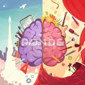 Brain Right Left Sides Cartoon Poster Stock Illustration