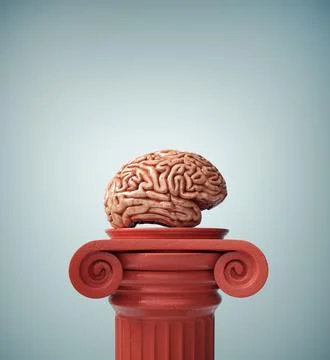 Brain on the Roman column suggesting the concept of personal development an.. Stock Illustration