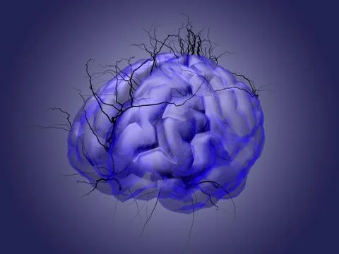 Brain root concept of a root growing in the shape of a human brain. Stock Illustration