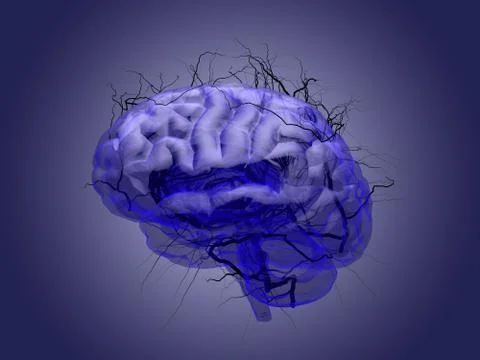 Brain root concept of a root growing in the shape of a human brain. Stock Illustration