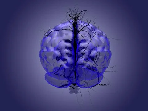 Brain root concept of a root growing in the shape of a human brain. Stock Illustration