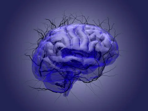 Brain root concept of a root growing in the shape of a human brain. Stock Illustration