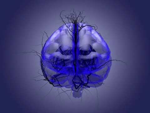Brain root concept of a root growing in the shape of a human brain. Stock Illustration