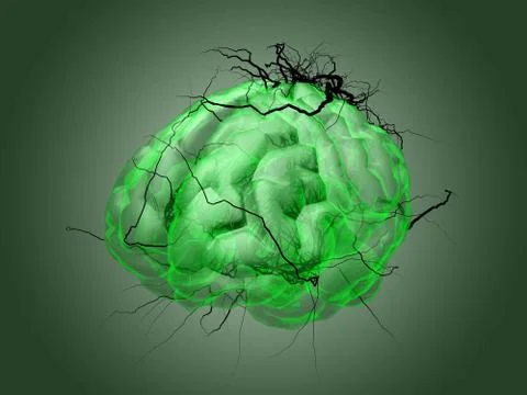 Brain root concept of a root growing in the shape of a human brain. Stock-Illustration