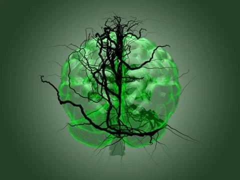 Brain root concept of a root growing in the shape of a human brain. Stock Illustration