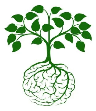 Brain root tree Stock Illustration