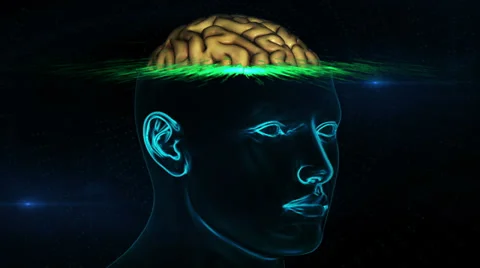 Brain rotate XRAY Comp 2 Stock Footage 33937471