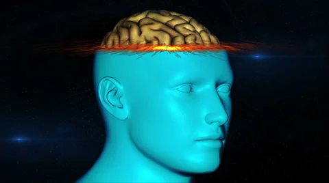Brain rotate XRAY RED Stock Footage 33938937