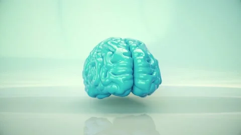 Brain Rotating 4K Video stock 145838769