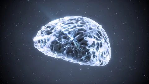 Brain rotating Stock Footage 83579529