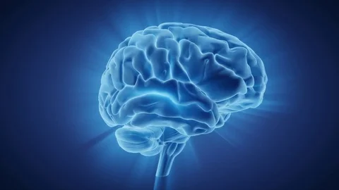Brain rotation Stock Footage 83170448