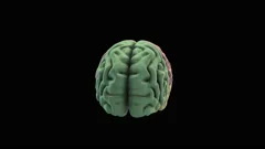 Rotation Vertical of Human Brain Animati... | Stock Video | Pond5