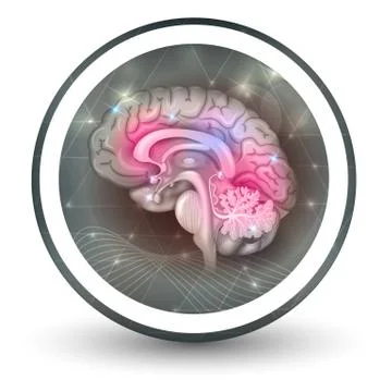 Brain round shape icon Stock Illustration