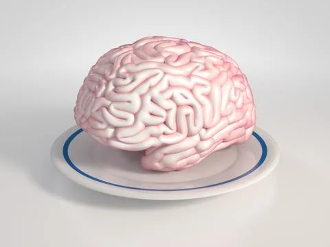 Brain on a saucer Stock Photos