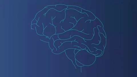 Brain scan concept Stock Footage 220288702