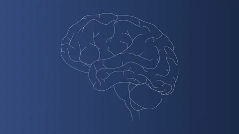 Brain scan concept Stock Footage 220288720