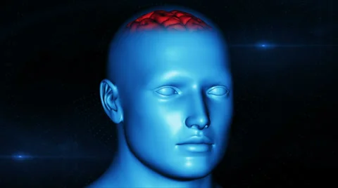 Brain scan Stock Footage 33731972