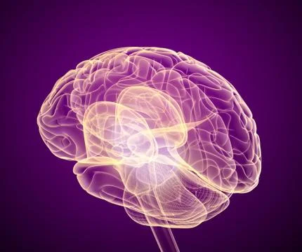 Brain scan, X-ray view Stock Illustration