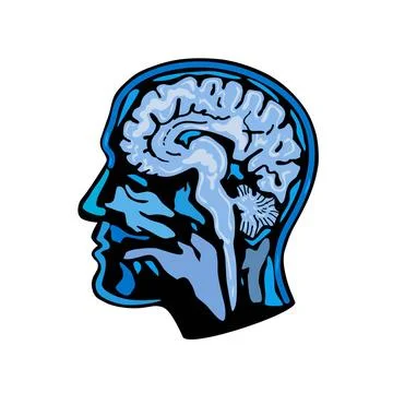  Brain Scanning Imaging Side Retro style illustration of a a brain scan or... Stock Photos