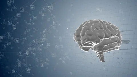 Brain On The Scientific Background Stock Footage 172080077
