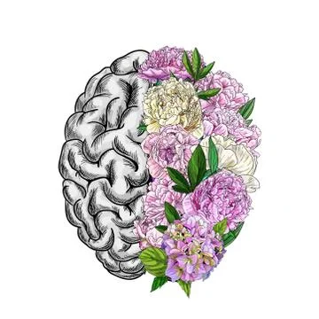 Brain semispheres, right semisphere is composed of peonies Stock Illustration