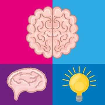 Brain set icon knowledge and creativity Stock Illustration