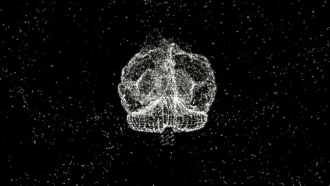 Brain shape connection of shining particles lavitating over black background. Stock Footage 121800609