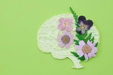 Brain shape with pressed flowers representing mental health 스톡 사진