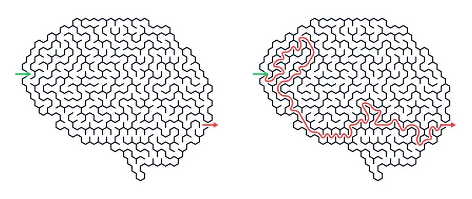 Brain shaped maze with solved path. Logic puzzle representing mental task, pr Stock Illustration