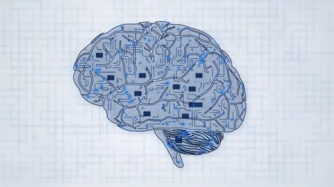 Brain Silhouette Blue Wire Network White Loop 動画素材 343256412