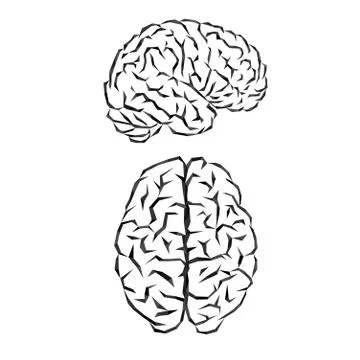 Brain silhouette outline Stock Illustration