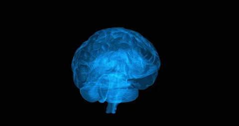 Brain simulation 3D graphics revolve around Stock Footage 163034818