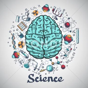 Brain sketch science concept Stock Illustration