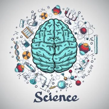 Brain sketch science concept Stock Illustration