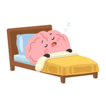 Brain Sleeping In Bed Showing Rest And Relaxation Stock Illustration
