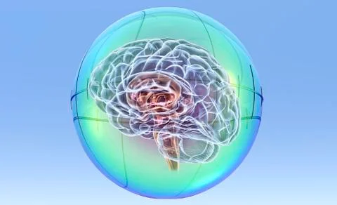 Brain in sphere, computer artwork Stock Illustration