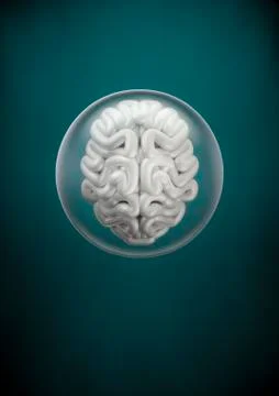 Brain sphere Stock-Illustration