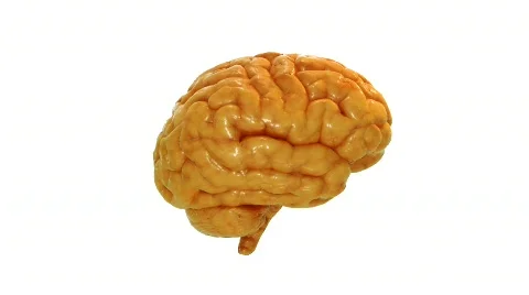 Brain spin 스톡 동영상 278733