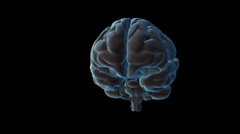 Brain Spin Video stock 631592