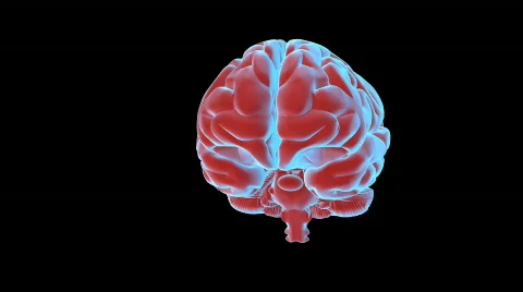 Brain Spin Video stock 631615