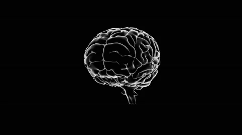 Brain spinning on black background | Stock Video | Pond5