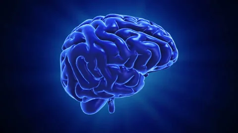 Brain Spinning 스톡 동영상 26699933