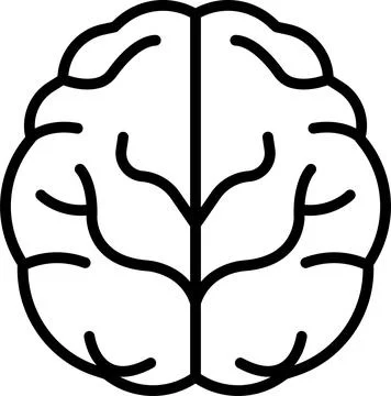 The brain is split into two halves Illustrazione stock