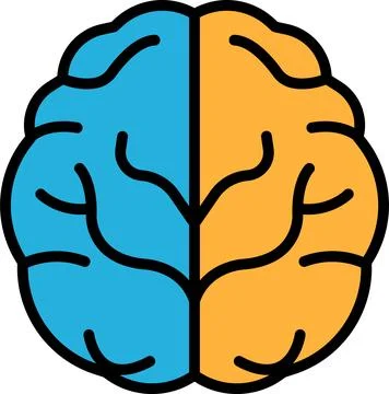 The brain is split into two halves, with one half blue and the other half o.. Stock Illustration